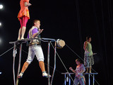Цирковое представление